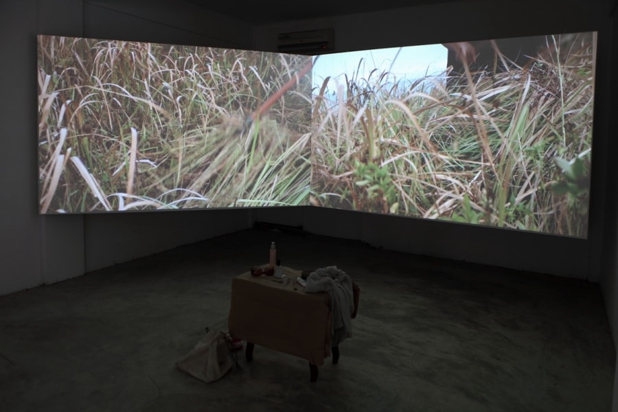 內心戲:溫柔地革命-范曉嵐個展