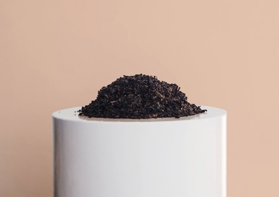 Archive / 歷年活動