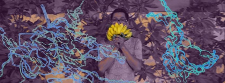 Archive / 歷年活動