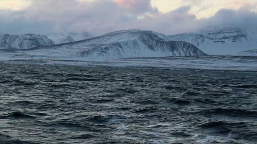 Archive / 歷年活動